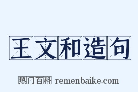 王文和造句是什么意思的图片
